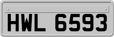 HWL6593