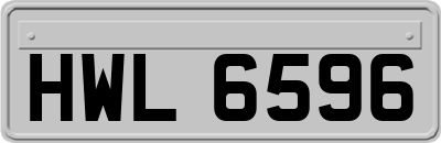 HWL6596