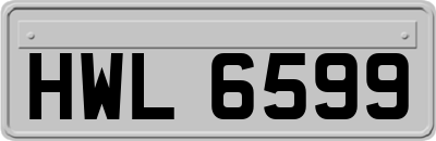 HWL6599