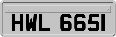 HWL6651