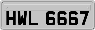 HWL6667