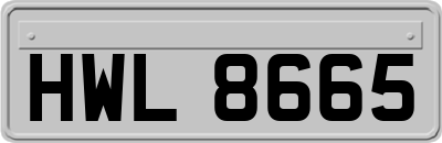 HWL8665