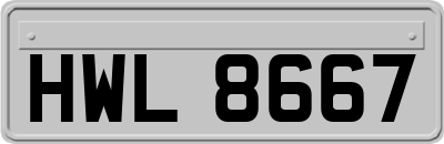 HWL8667