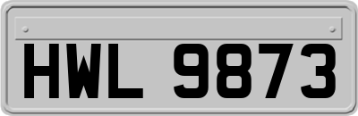 HWL9873