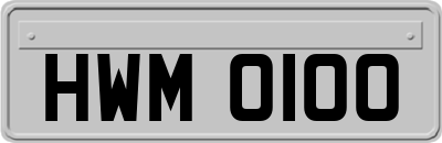HWM0100