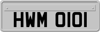 HWM0101