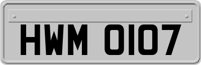 HWM0107