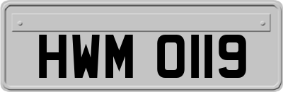 HWM0119
