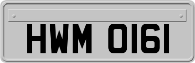HWM0161