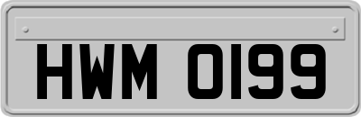 HWM0199