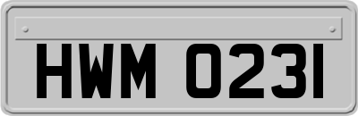 HWM0231