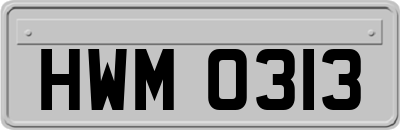 HWM0313