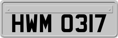 HWM0317