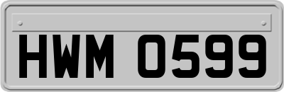 HWM0599