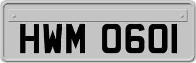 HWM0601