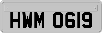 HWM0619