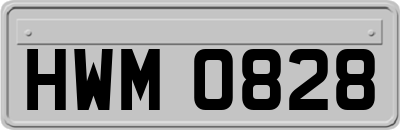 HWM0828