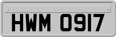 HWM0917