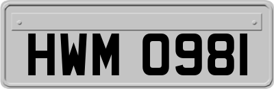 HWM0981