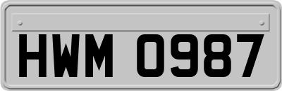 HWM0987