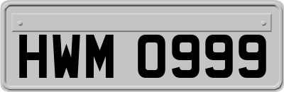 HWM0999