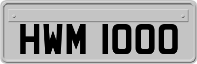 HWM1000