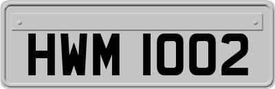 HWM1002