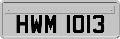 HWM1013
