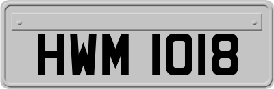 HWM1018