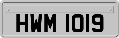 HWM1019