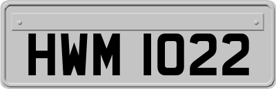 HWM1022