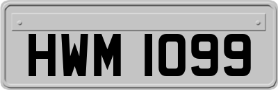 HWM1099