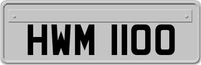 HWM1100