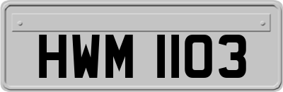 HWM1103