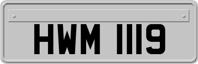 HWM1119