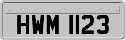 HWM1123