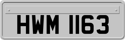 HWM1163