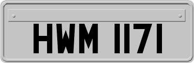 HWM1171
