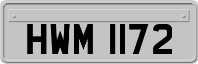 HWM1172
