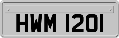 HWM1201
