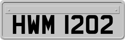 HWM1202