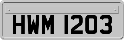 HWM1203