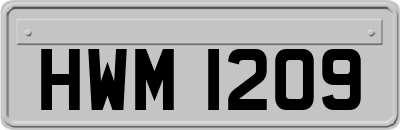 HWM1209