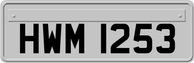 HWM1253