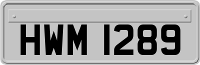 HWM1289