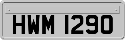 HWM1290
