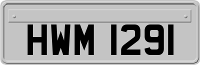 HWM1291