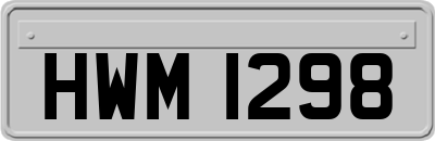 HWM1298