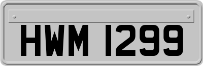 HWM1299