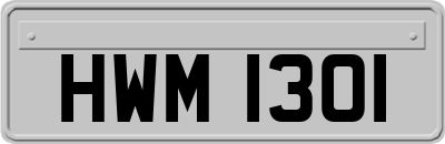 HWM1301